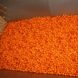 Organic sea buckthorn products and berries.