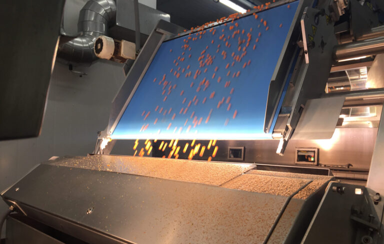 Optical berry sorting