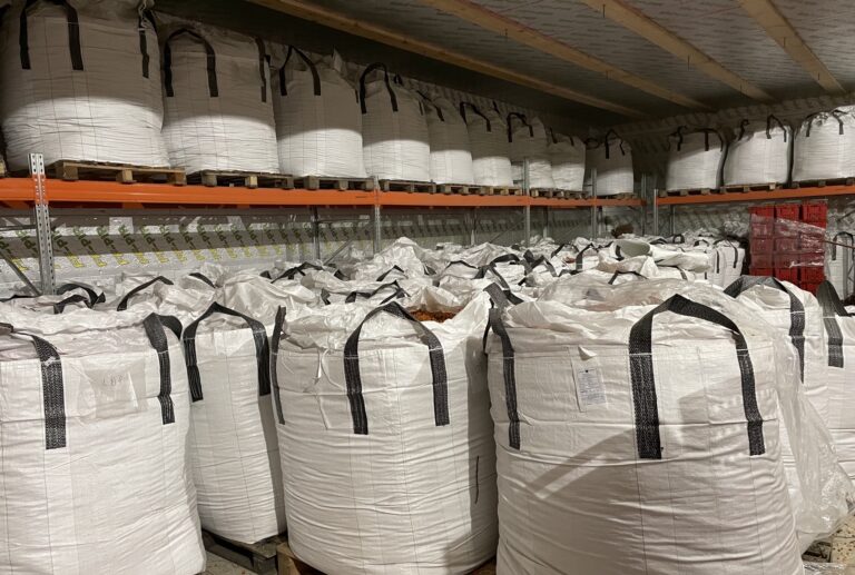 950kg-1000kg BigBag with sea buckthorn berries