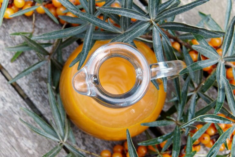 sea buckthorn, juice, berry, branch, fruit, fall, vitamins, late summer, summer, remedies, sea buckthorn juice, vitamin c, defense, immune system, nature, health, cold, flu, virus, prevent, prophylaxis, shrub, fructose, orange, bio, naturally, infection protection, fresh, healthy, food, natural product