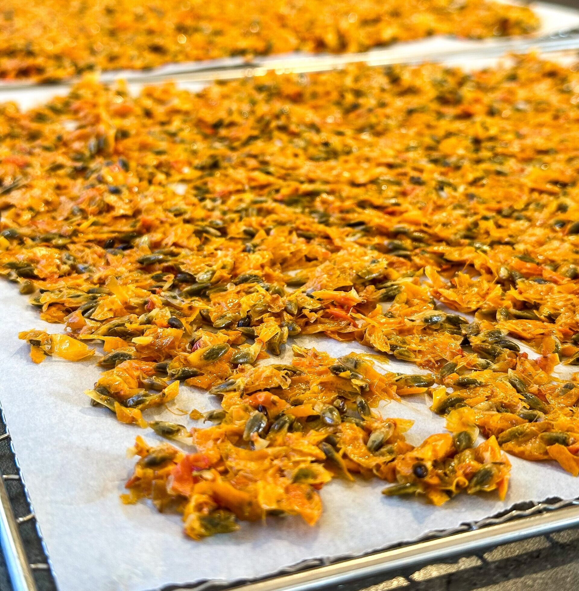 Sea buckthorn skins and seeds spread on trays for drying.