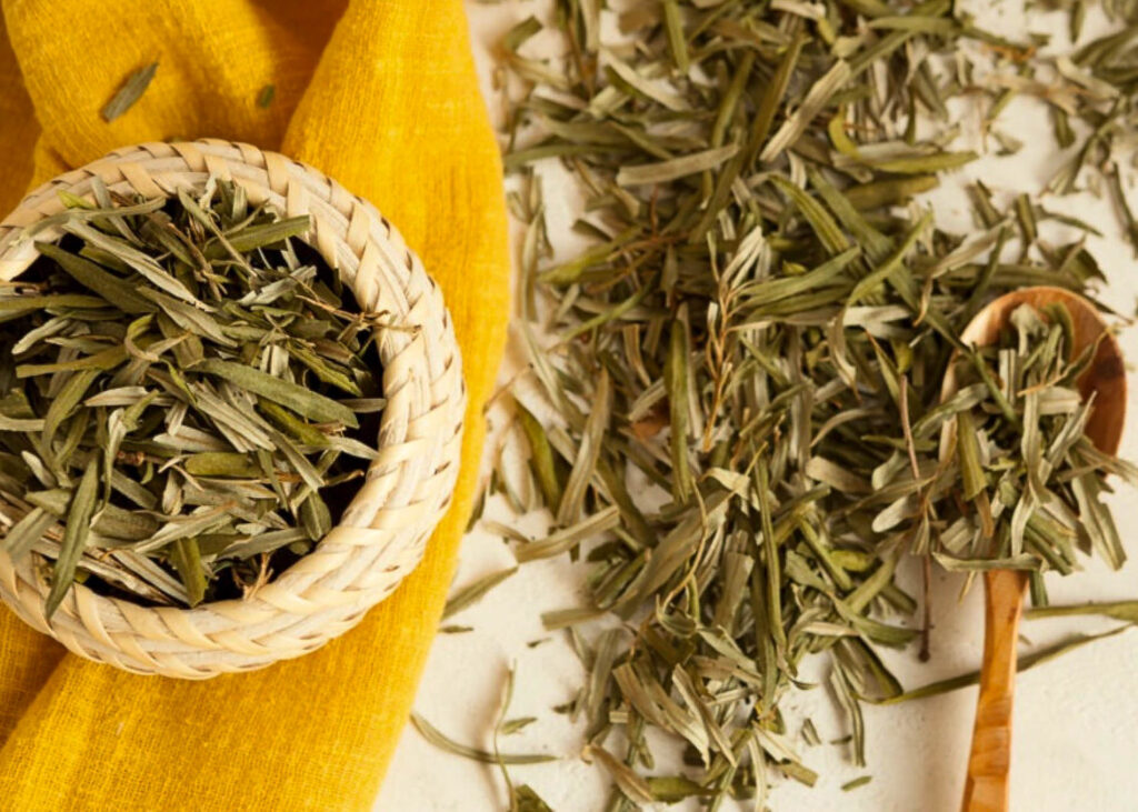Sea buckthorn leaves in dried form