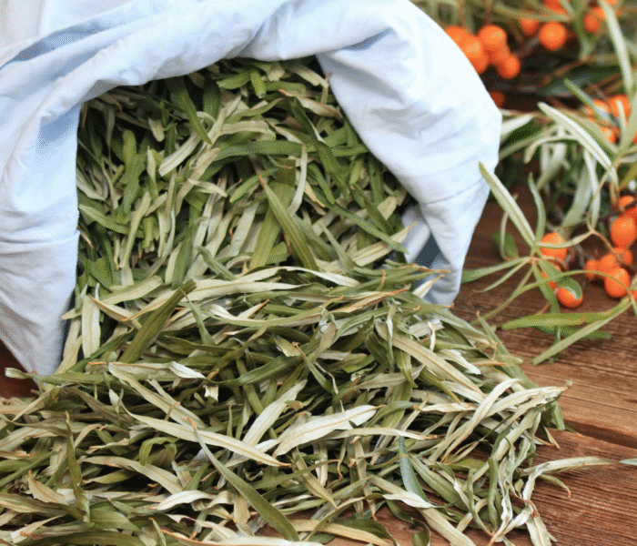 Organic Sea Buckthorn Leaves