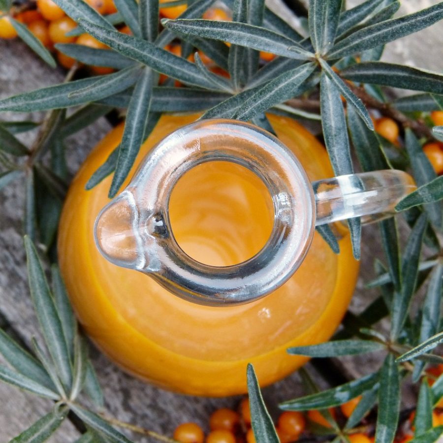 Why Is Sea Buckthorn Sensitive to Heat?
