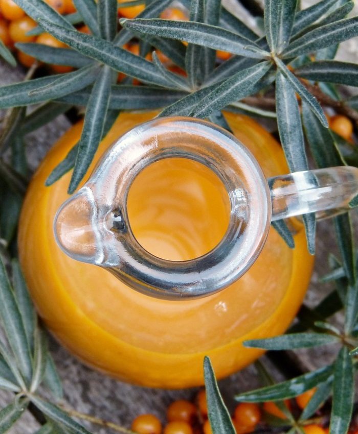 Why Is Sea Buckthorn Sensitive to Heat?